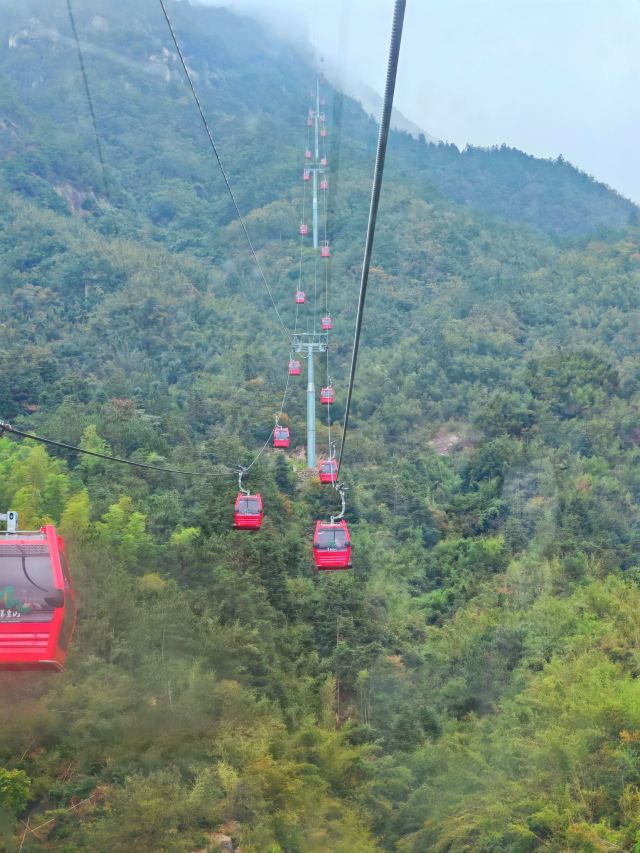 天岳幕阜山森林公园旅行图片 4