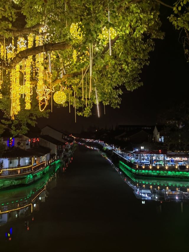 枫泾古镇旅行图片 3