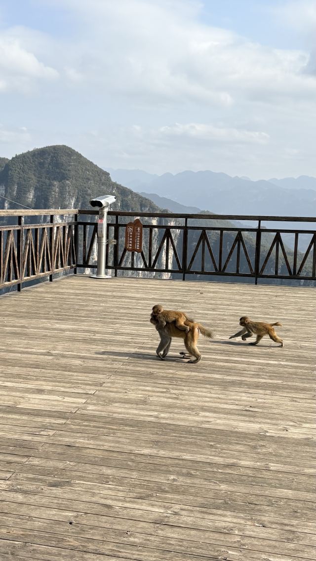 重庆云阳龙缸国家地质公园旅行图片 2