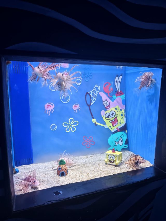 长沙湘江海洋王国旅行图片 3