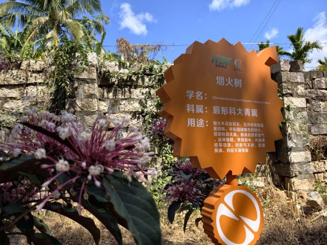 七仙岭全球热带水果博览中心旅行图片 2