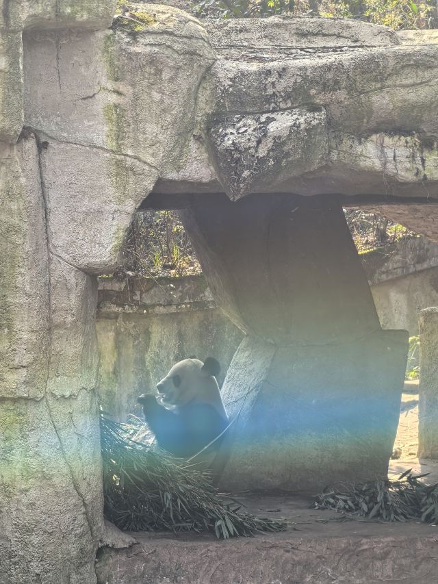 碧峰峡风景区旅行图片 6