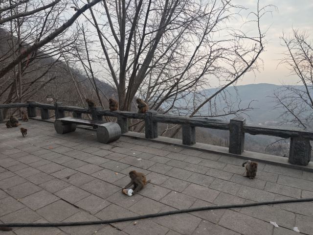 花果山风景区旅行图片 1
