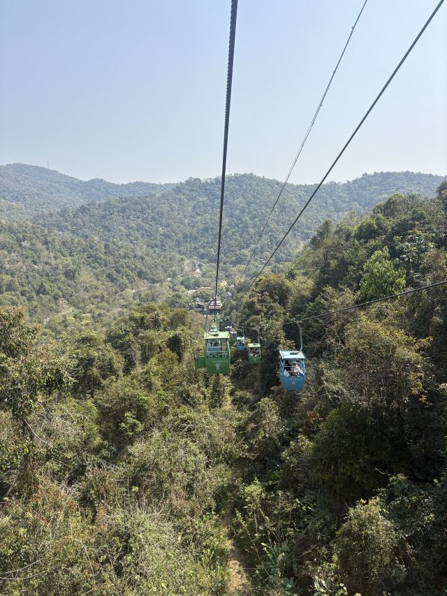 野象谷景区旅行图片 2