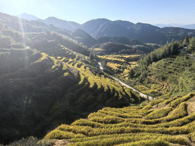 桃源梯田景区旅行图片 3