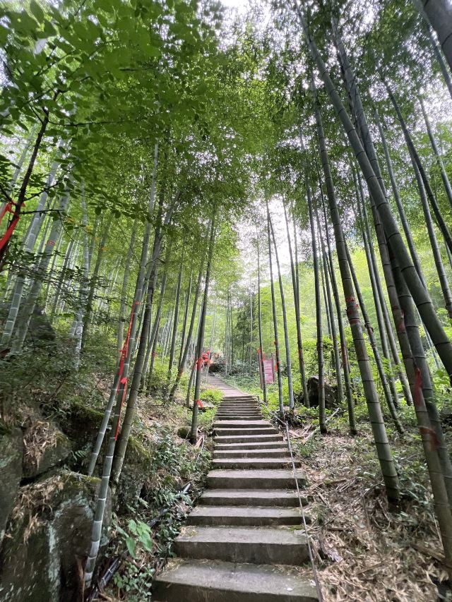 云上草原七星谷旅行图片 1