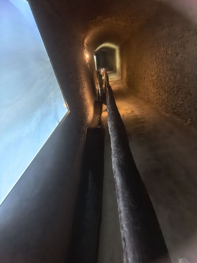 吐鲁番郡王府旅行图片 4
