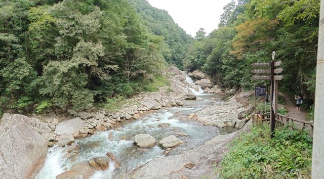 炎陵县神农谷国家森林公园旅行图片 5