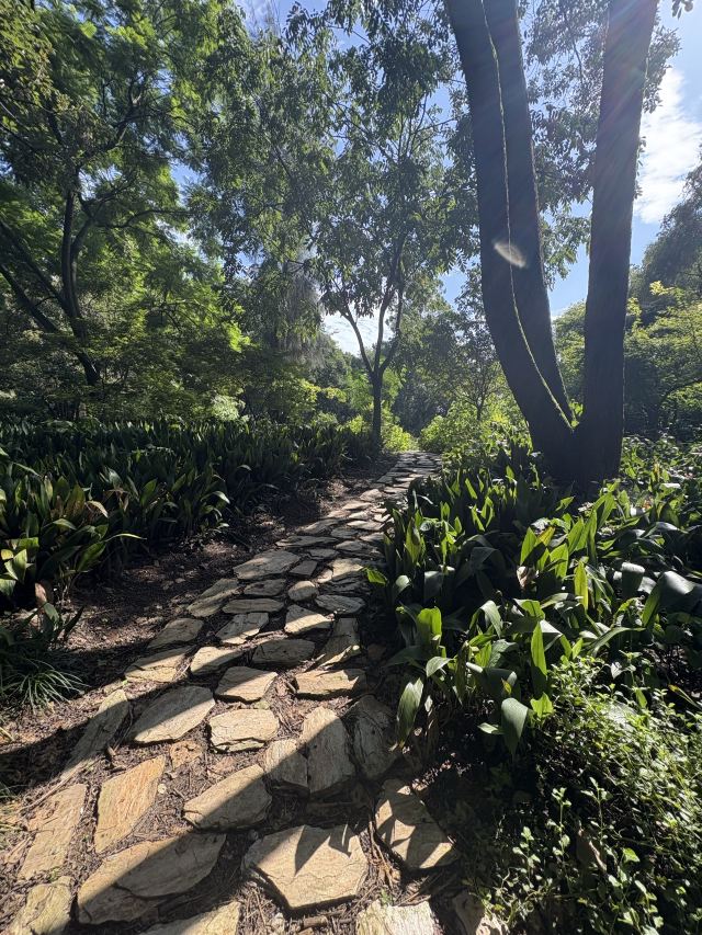 成都植物园旅行图片 6