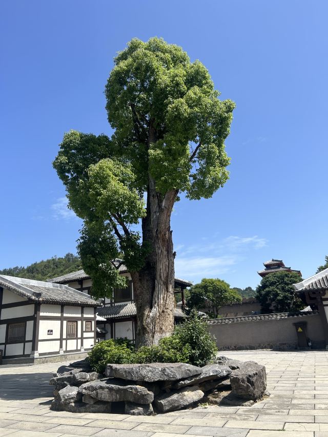 都匀秦汉影视城旅行图片 8