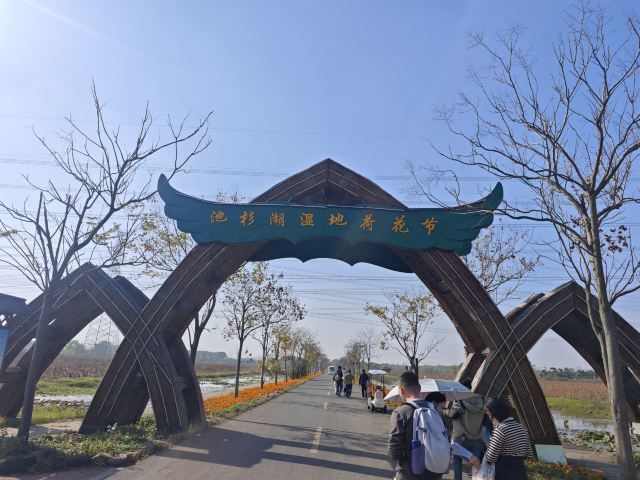 池杉湖国家湿地公园旅行图片 1
