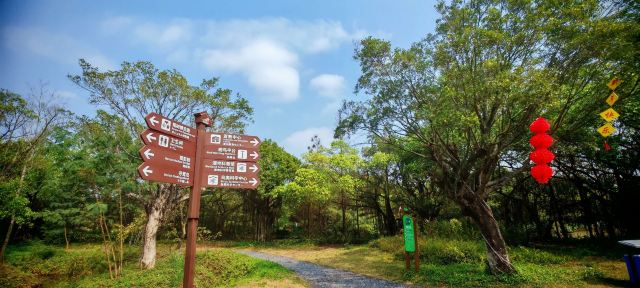 小鸟天堂旅行图片 2