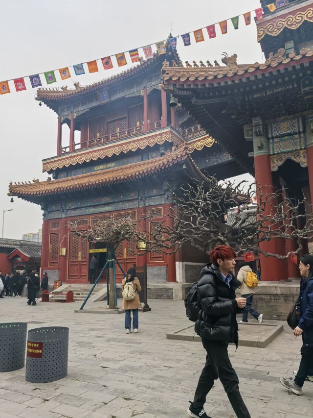 雍和宫旅行图片