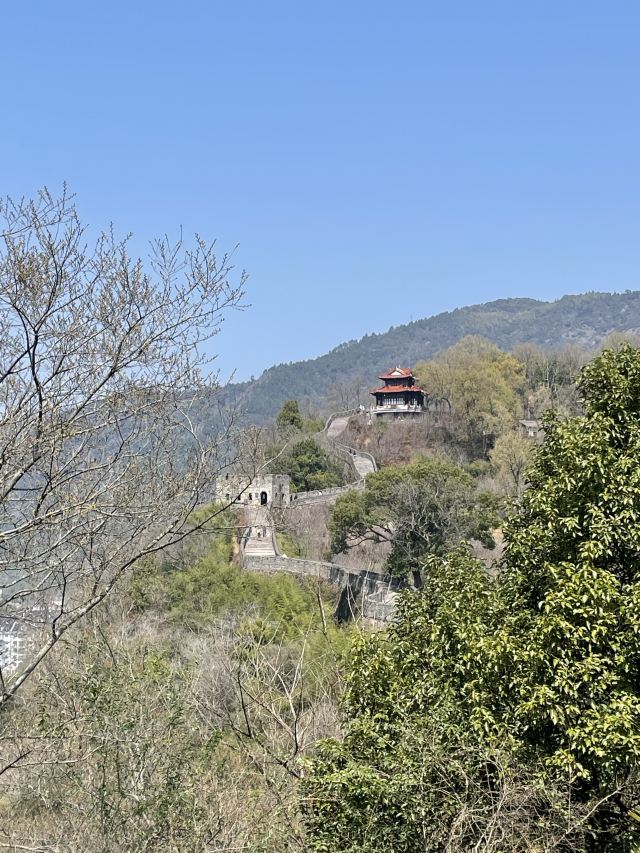台州府城文化旅游区旅行图片 5