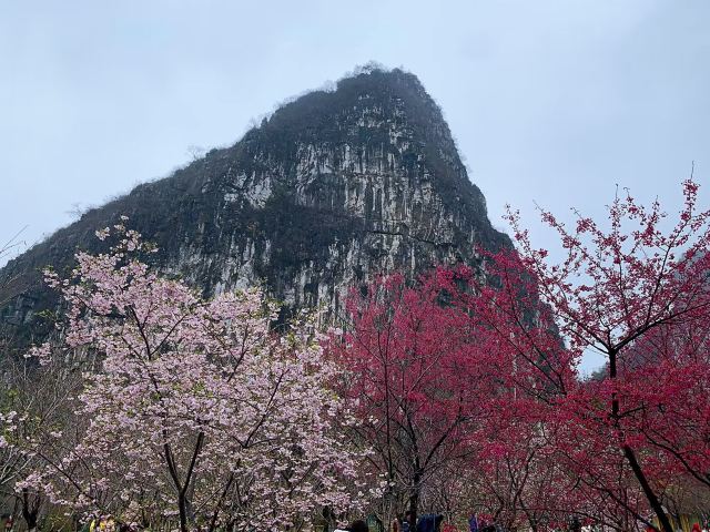 南溪山公园旅行图片 1