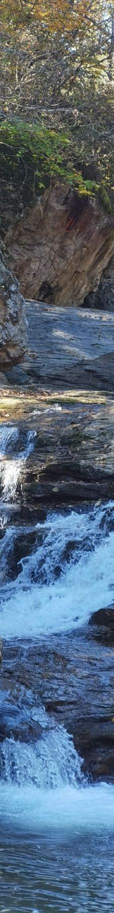 青山沟-宽甸-Milly