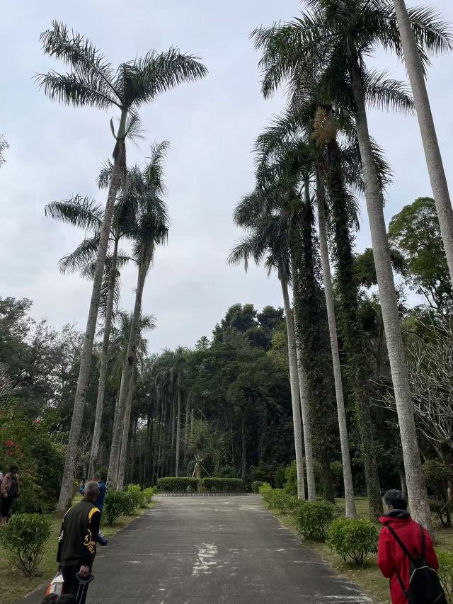 海南热带植物园旅行图片 1