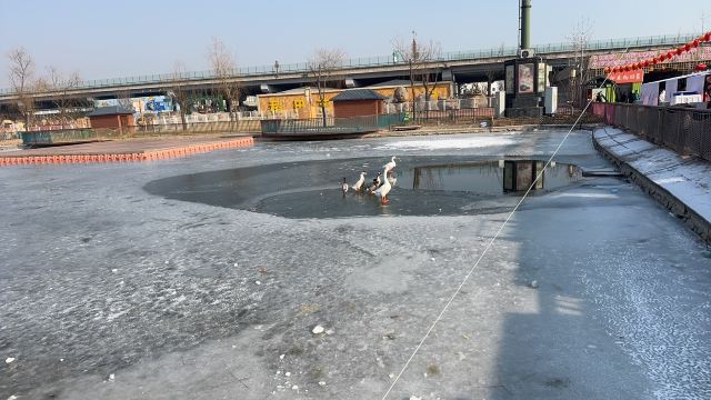 太原康培稻田公园旅行图片 6