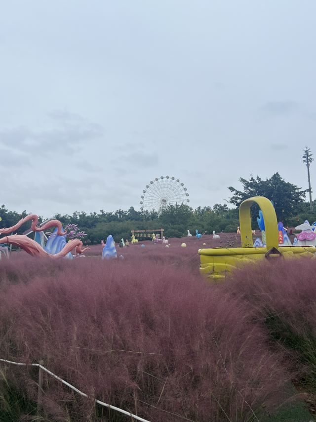 音乐·百花谷旅行图片 3