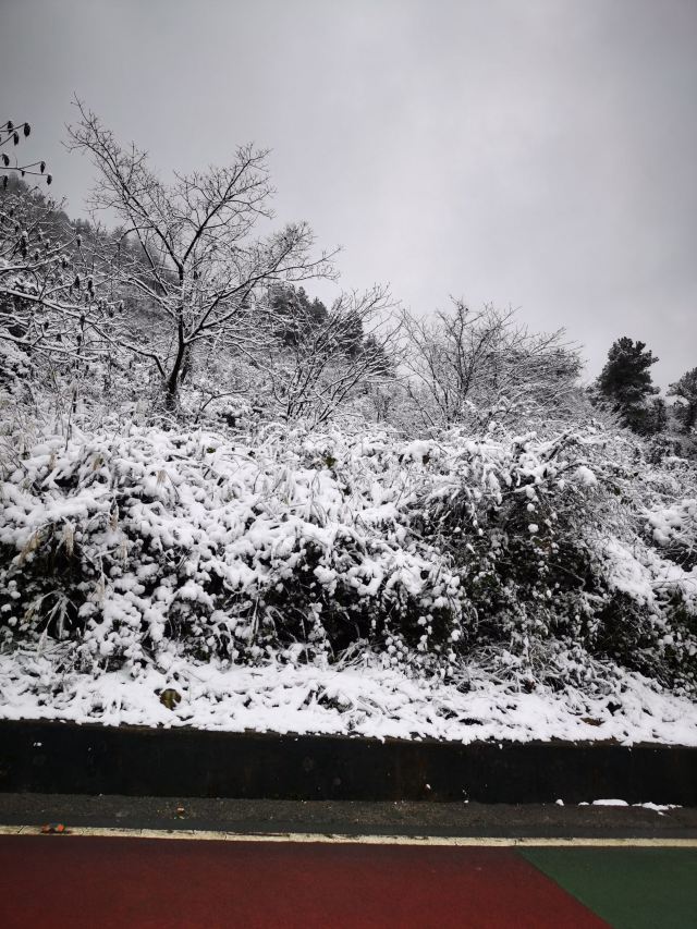 武陵山国家森林公园旅行图片 1