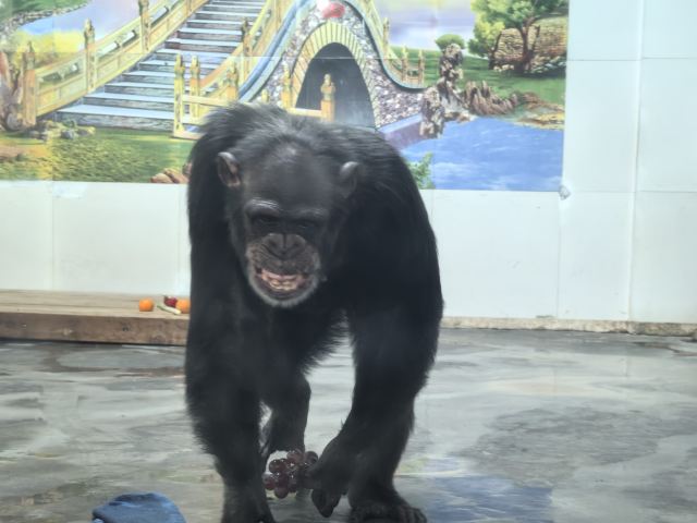 西安秦岭野生动物园旅行图片 5