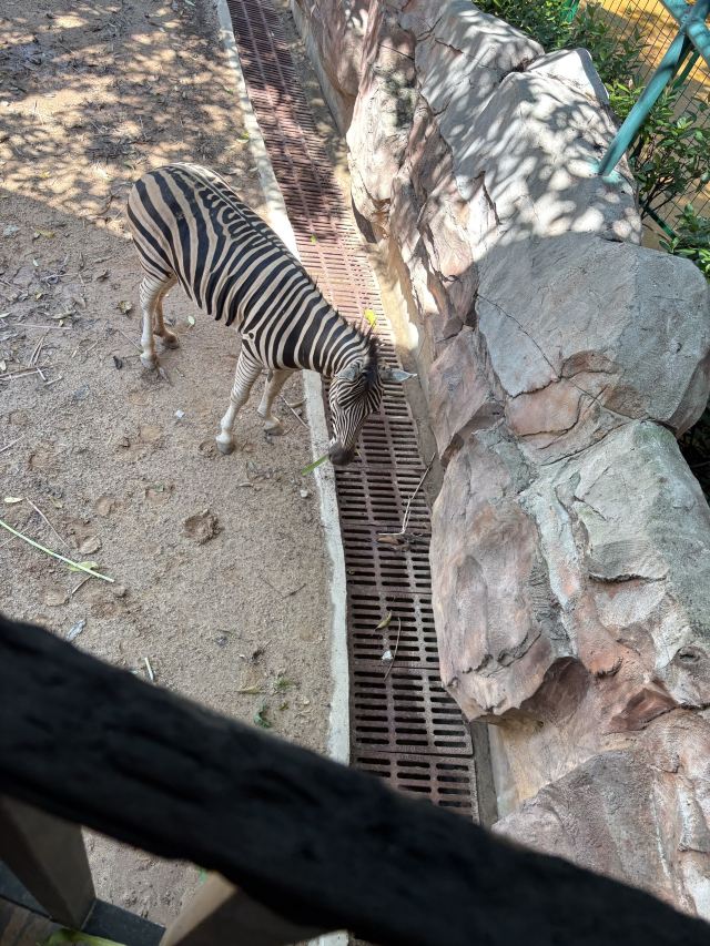 隐贤山庄旅行图片 4
