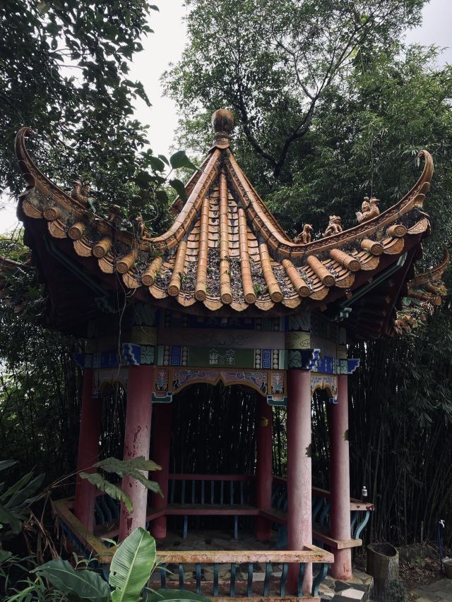 海南百花岭热带雨林文化旅游区-小卖部旅行图片 3