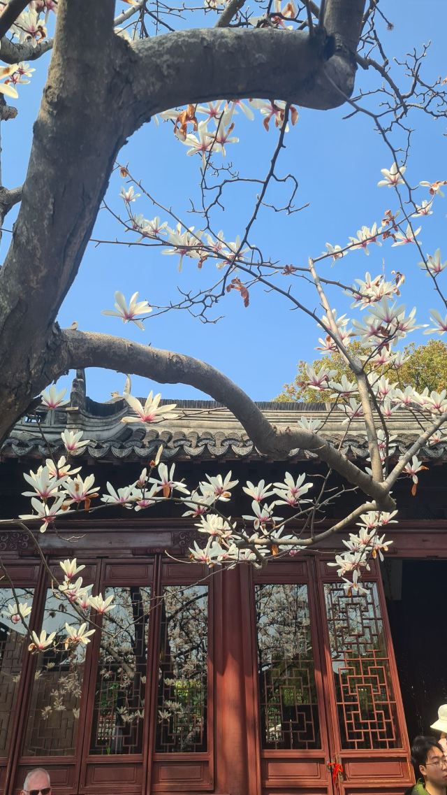 上海豫园旅行图片 3