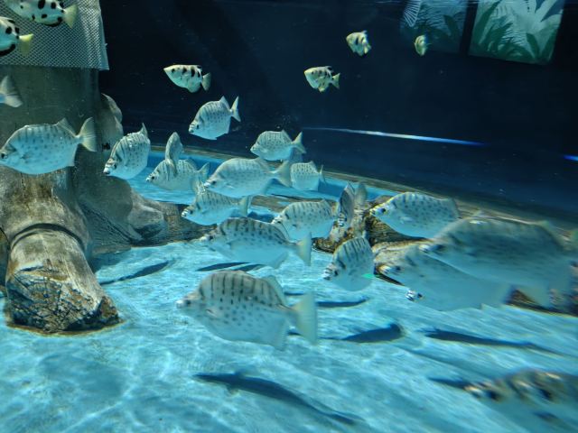 中国·江豚湾旅行图片 5