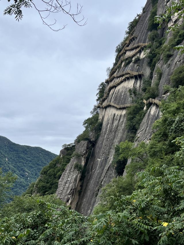陕西省红河谷森林公园旅行图片 1