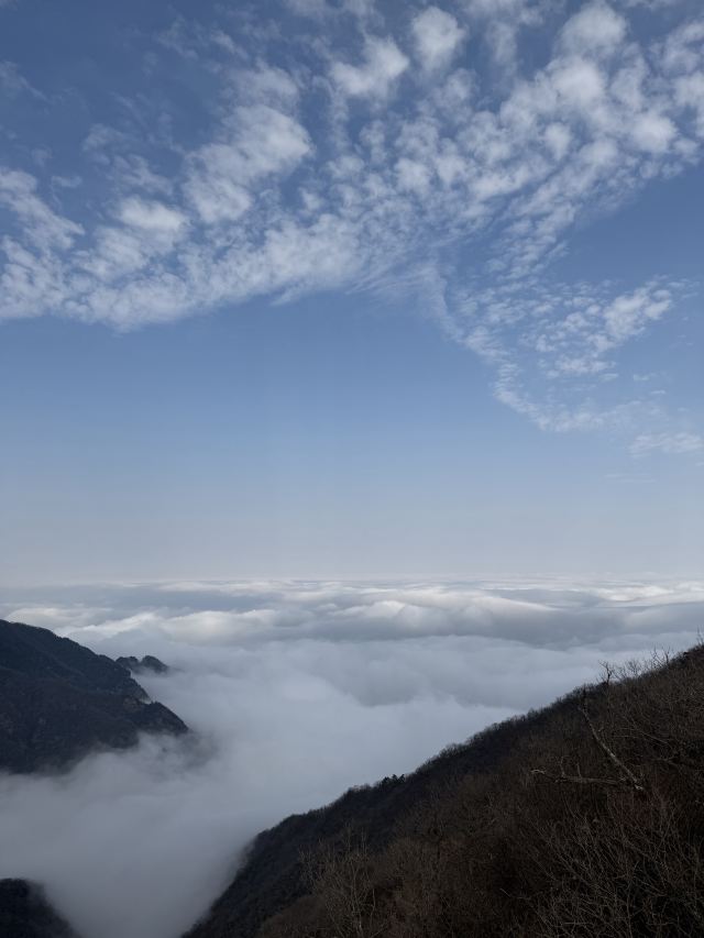 云上草原国际山地旅游度假区旅行图片 1