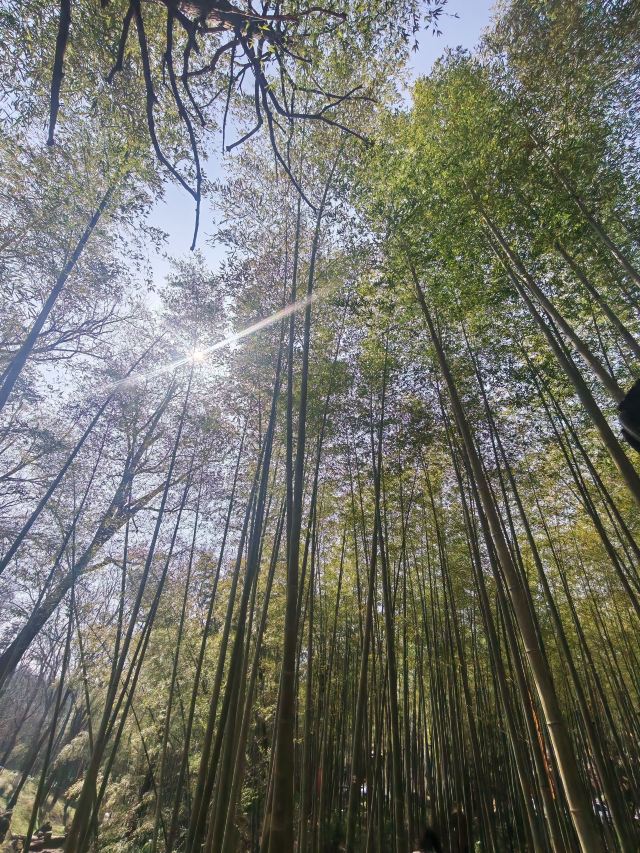 鹿门山旅行图片 2