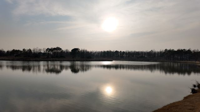 上海东滩湿地公园旅行图片 2