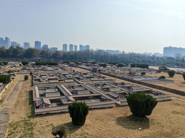 大明宫国家遗址公园旅行图片 5