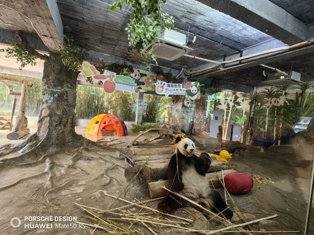 海南热带野生动植物园旅行图片 1