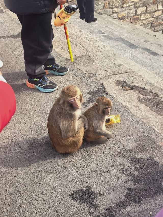 花果山风景区旅行图片 4