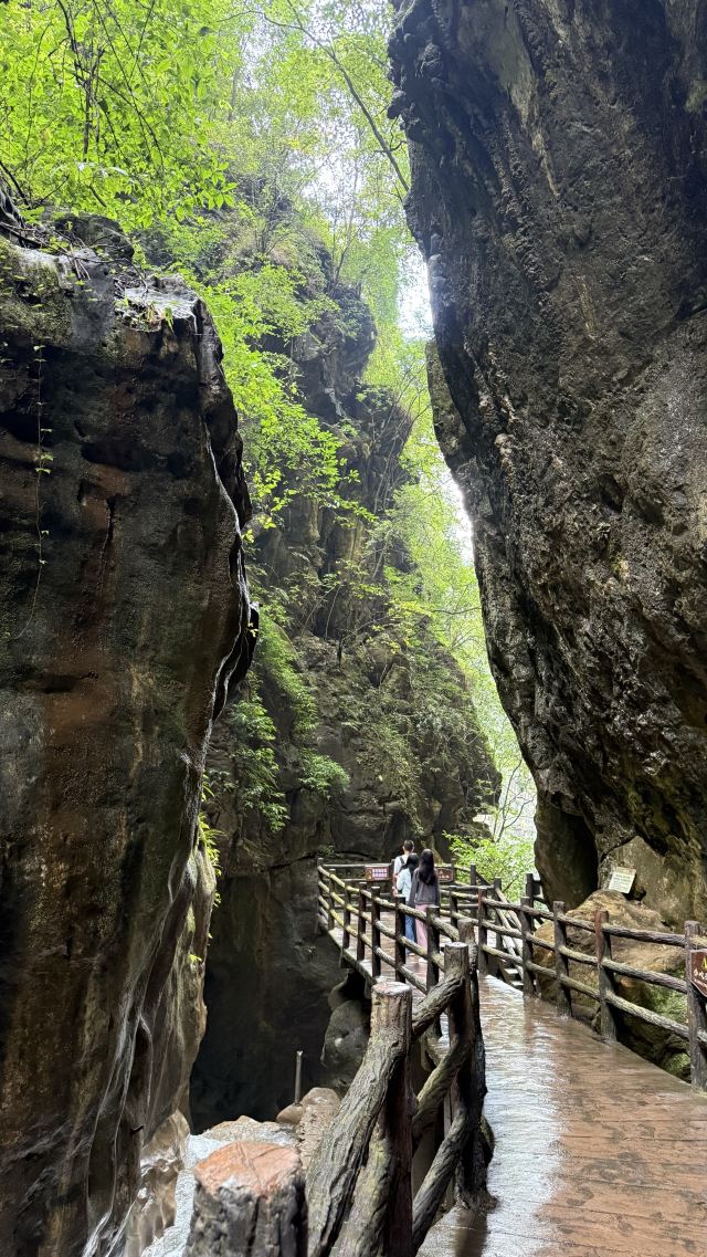 尼珠河大峡谷生态文化旅游区旅行图片 4
