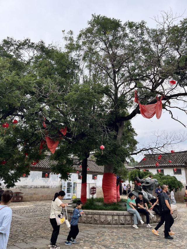 牟氏庄园旅行图片 1
