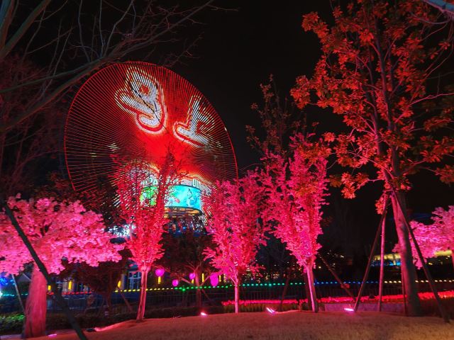 郑州海昌海洋公园旅行图片 2