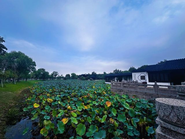 尚湖风景区旅行图片 1