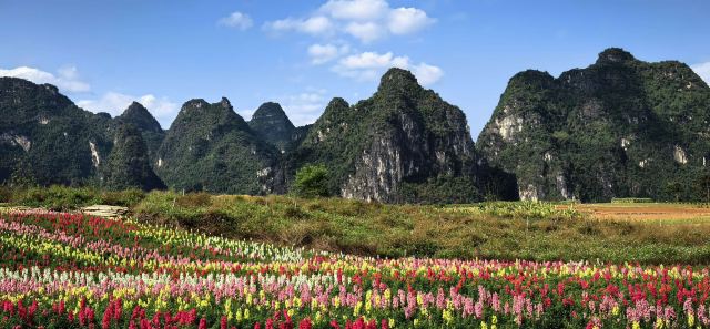 峒那屿湾旅行图片 1