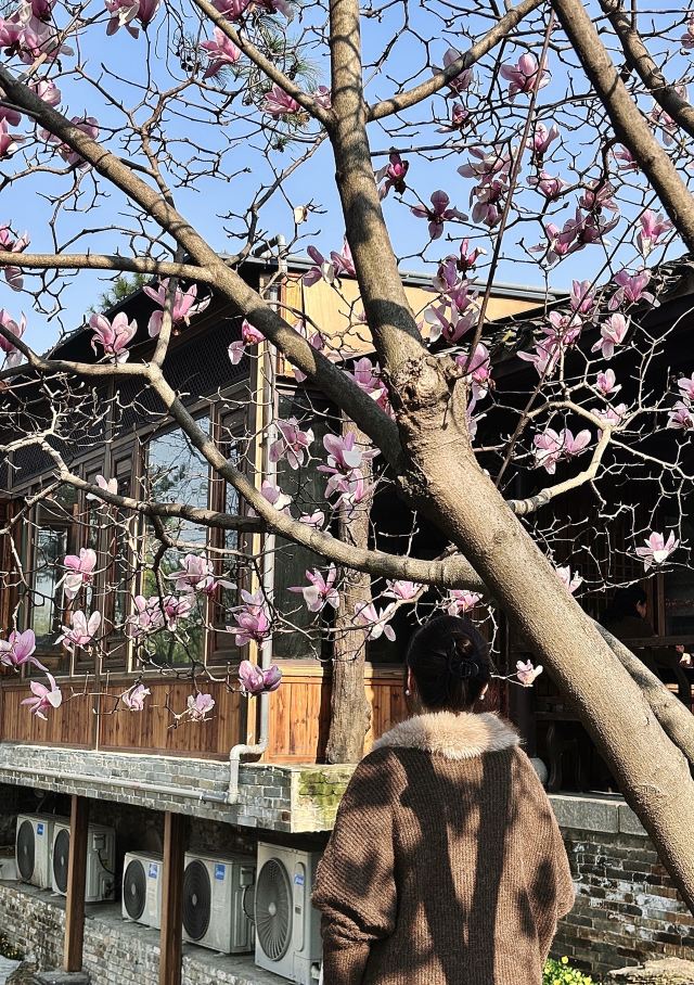 永泉旅游度假区(永泉小镇)旅行图片 3