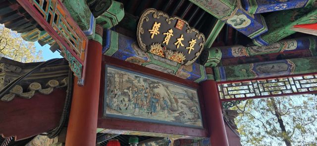 颐和园旅行图片 3