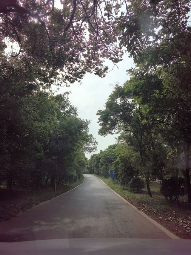 辽王墓旅行图片 5