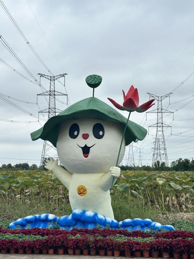池杉湖国家湿地公园旅行图片 1