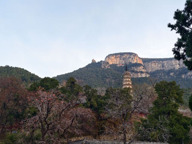 灵岩寺景区旅行图片 7