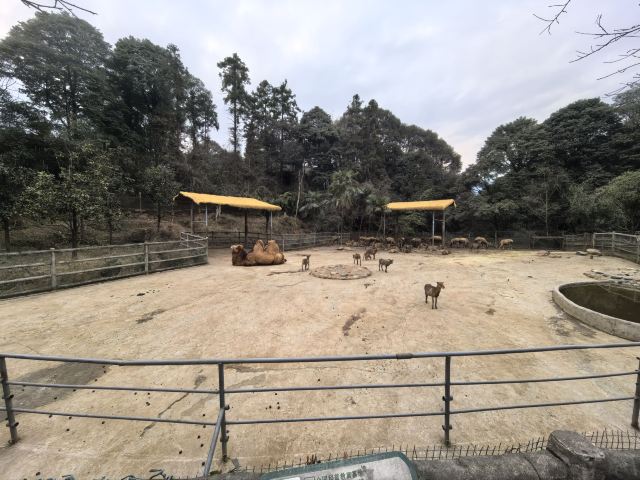 碧峰峡风景区旅行图片 5