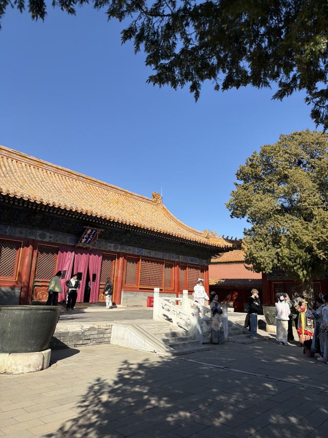 故宫博物院旅行图片 3