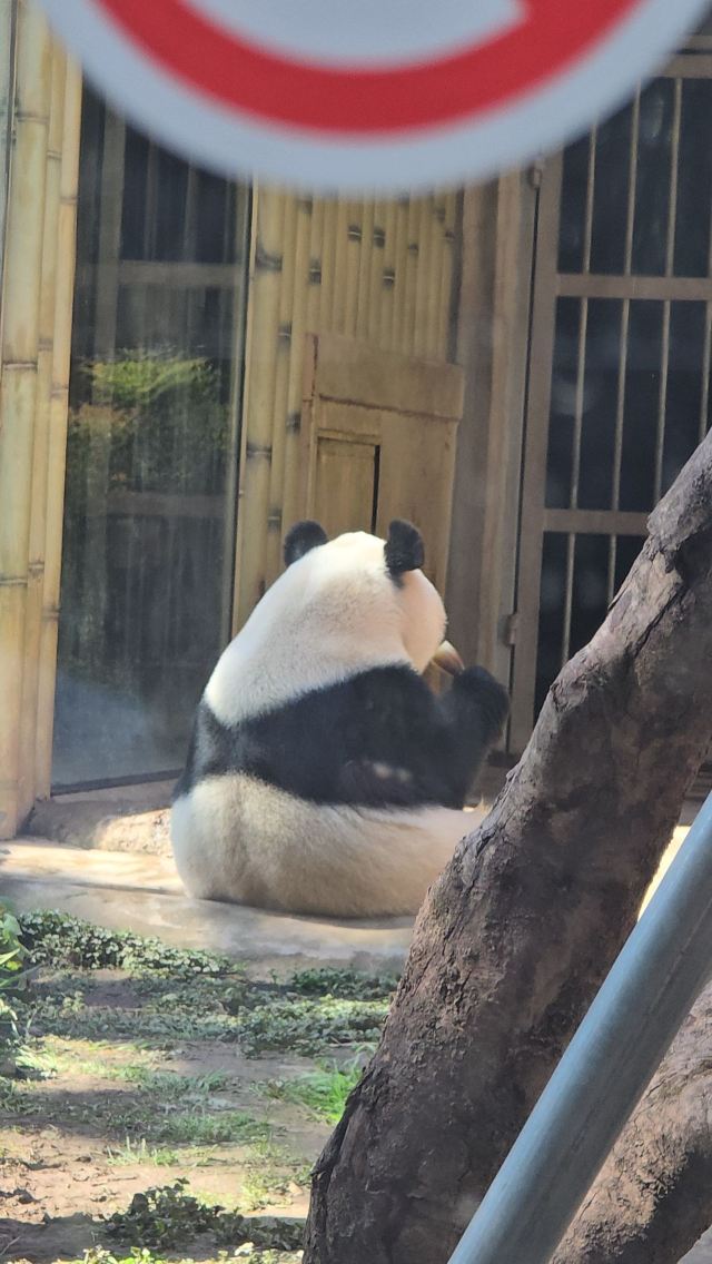 重庆动物园旅行图片 4
