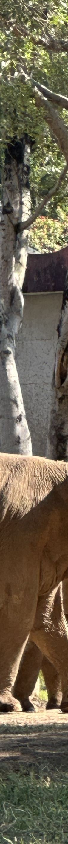 南宁动物园-南宁-丿芷沁丶